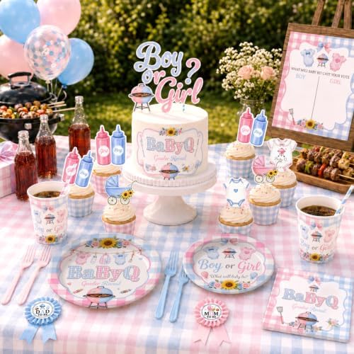 Baby Q Gender Reveal Decorations, Pink Blue Gingham BBQ Gender Reveal Decor - Image 2