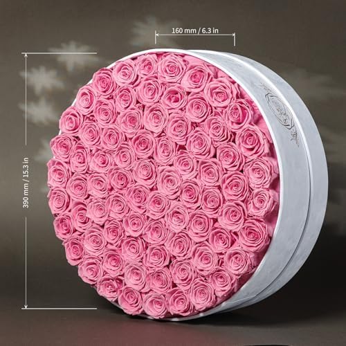 Prifroti 75 Preserved Roses in Suede Box – Luxury Rose Flower Arrangement, Preserved Flowers Gifts for Women, Wife or Mom – Birthday, Anniversary, Valentine’s Day, Mother's Day (Pink) - Image 2