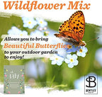 BENTLEY SEED CO. Oh Baby Seed Packets|Girl or Boy Baby Shower Favors for Guests | 25 Wildflower Seed Packets | Pre-Filled | Bouquet Wildflower Mix | Non-GMO Seeds | Gender Neutral | Eco-Friendly Gift - Image 3