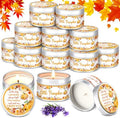 MTLEE 24 Pcs Fall Baby Shower Candle Favor Thanksgiving Little Pumpkin by CelebrateEveryMoment
