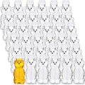 Thenshop 36 Pcs 8 oz Plastic Honey Bear Bottle Clear Squeeze, White Lid by Thenshop