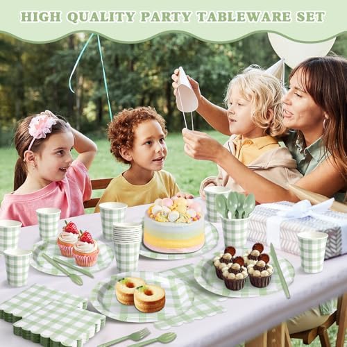 Vyntra 350-Pc Sage Green Gingham Paper Plates and Napkins Party Supplies - Image 6