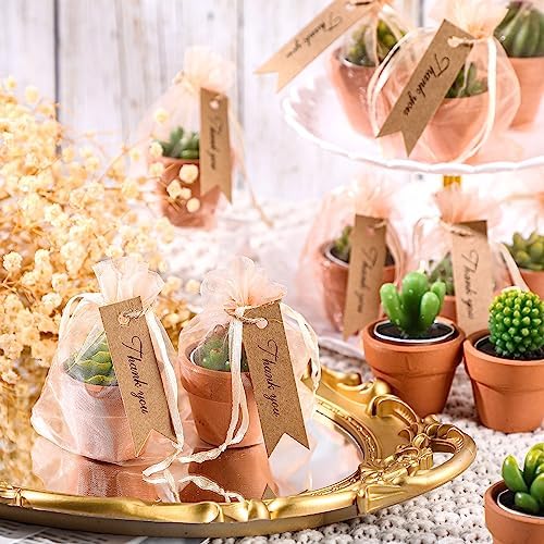 MTLEE 36 Pcs Succulent Cactus Tealight Candles - Image 3