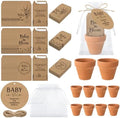 Reallnaive 24 Sets Baby Shower Party Favors Seed Packets Baby in Bloom by Reallnaive