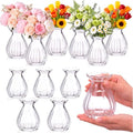 12 Pieces 3.5 Inch Glass Bud Vase Mini, Clear by Unknown