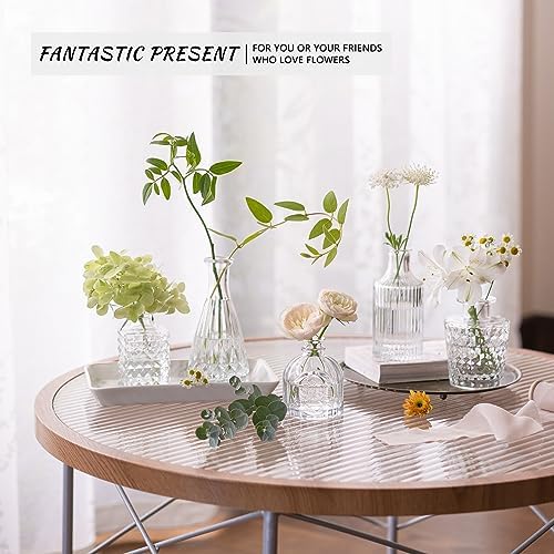 SUPMIND 12pcs Glass Bud Vase Set, Clear Small Flower Vases for Centerpieces - Image 6