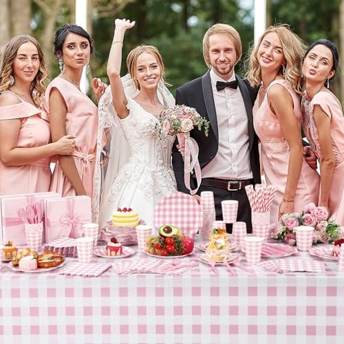 Funnymoom 452 Pcs Pink Gingham Party Decoration Supplies Serve 50 Guests - Image 5