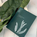 Recycled Dark Green Card Stock Paper - 8 1/2 x 11 - Heavyweight 111lb Cover - 25-Pack - Image 2
