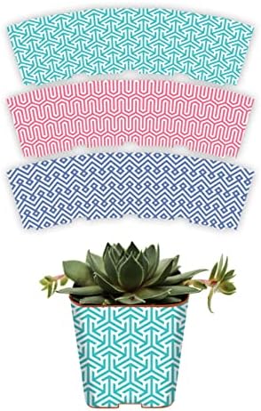 PRODUCT80 Succulent Pot Wraps for Wedding Favors, Baby Shower or Bridal Shower | Fits Most 2 Inch Square Pots | Peel and Stick Vinyl Wraps | Does Not Include Mini Live Plant or Pot (50 Wraps, Modern) by PRODUCT80