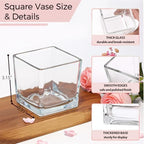 CONNOO 12 Pack 3" x 3" x 3" Clear Square Glass Vase for Centerpieces - Image 6