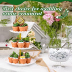 Lounsweer 60 Pcs Succulent Tealight Candles Bulk Novelty Decorative Cactus Candles Wedding Baby Shower Wedding Gifts with Mini Clay Holders for Birthday Party Home Mexican Party Favors (Simple) - Image 4