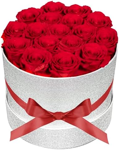 Prifroti 17 Red Flowers in Glitter Box, Birthday Gifts for Women, Preserved Flowers, Mothers Day Roses Gift for Mom by Prifroti