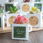 Temlum 2.5 Inch Succulent Wrap Bags (Fits 2.5″ Pots) with Thank You & Let Love Grow Stickers, Small Gift Box for Wedding, Baby Shower, Succulent Party Favors for Guests (White 100pcs) - Image 5
