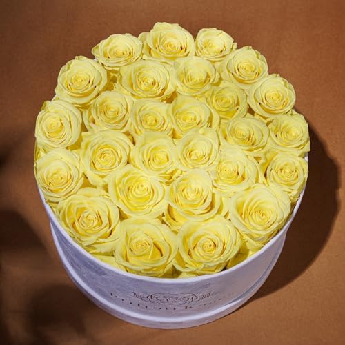 Prifroti 27 Roses in a Luxury Suede Box, Mother Day Flowers Gifts for Mom, Preserved Flowers for Her, Birthday Gifts for Women, Yellow - Image 4