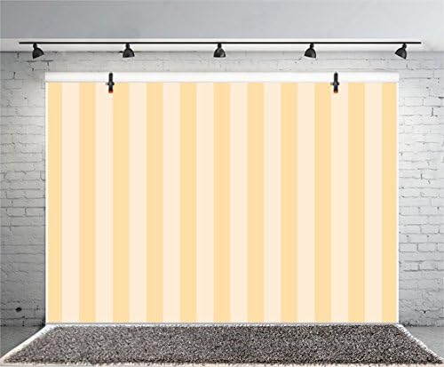Leyiyi 12x6ft Photography Background Striped Backdrop Happy Birthday Party Vertical Horizontal Stripes Icecream Girl Blog Make Up Vlogger Summer Poster Baby Shower Photo Portrait Vinyl Studio Prop by Leyiyi