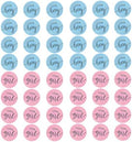48 Pcs Gender Reveal Stickers - Team Boy or Girl Stickers by NAYAGOGO