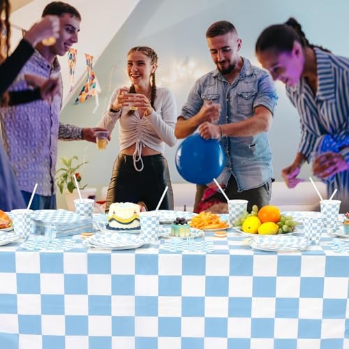 Funnymoom 452 Pcs Light Blue and White Gingham Party Supplies for 50, Blue Checkered Gingham Paper Plates Napkins Cups Tablecloth Cutlery Straws for Baby Shower Picnic Camping Birthday Decoration - Image 5