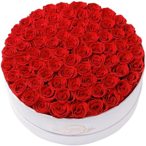 Prifroti 75 Preserved Roses in Suede Box – Luxury Rose Flower Arrangement, Preserved Flowers Gifts for Women, Wife or Mom – Birthday, Anniversary, Valentine’s Day, Mother's Day (Red) by Prifroti