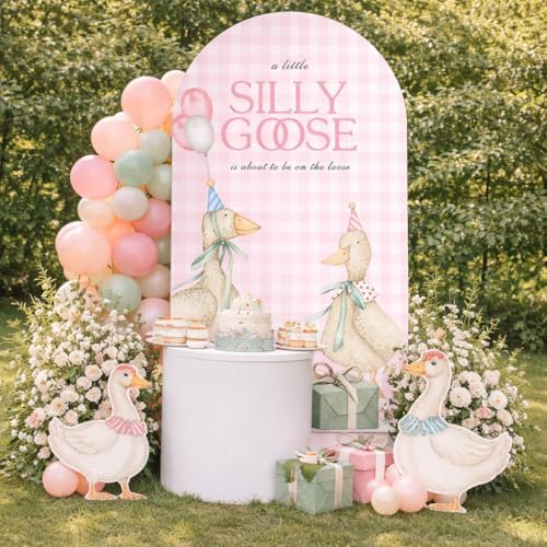 Arch Backdrop Cover One Silly Goose Baby Shower Girl Pink 1st Birthday Party Decors Spandex Stretchy Arch Stand Cover Plaids Cartoon Banquet Props (6FT,Cute) - Image 4