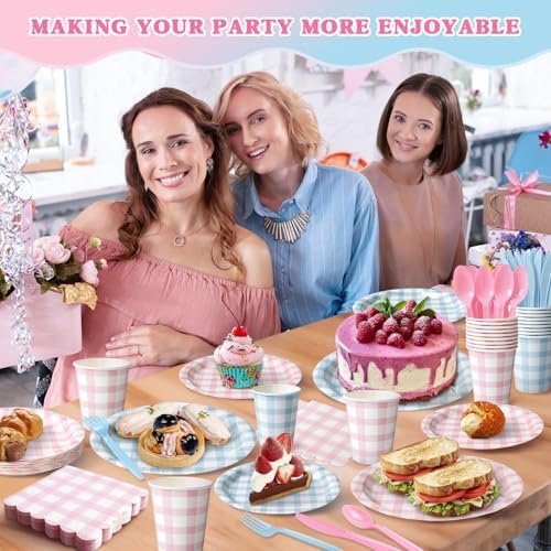 Vyntra 350-Pc Pink and Blue Gingham Paper Plates and Napkins Party Supplies - Image 2