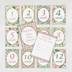 Personalized Baby Milestone Cards – 13 Printed Two Sided Cards with Welcome Card, Monthly Baby Milestones 1–12 Months, First Year Baby Keepsake by TheDecoratedFlamingo