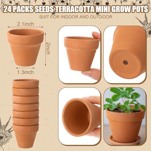 Reallnaive 24 Sets Baby Shower Party Favors Seed Packets Baby in Bloom - Image 3