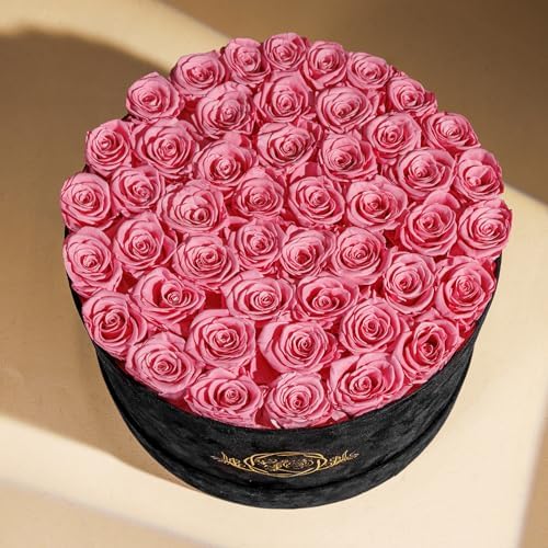 Prifroti 47 Roses in a Luxury Suede Box, Preserved Flowers for Women, Mothers Day Flowers for Mom, Light Pink - Image 4