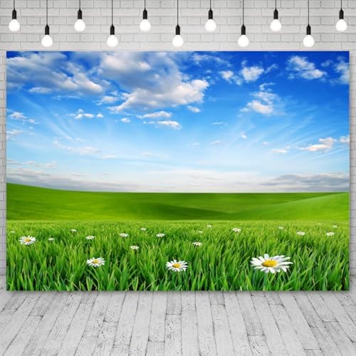 12x6ft Spring Backdrop Grassland Landscape Daisy Flowers Photography Background Green Grass Blue Sky Nature Scenery Kid Birthday Banner Decorations Baby Shower Portrait Photo Booth Prop - Image 3