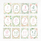 Personalized Baby Milestone Cards – 13 Printed Two Sided Cards with Welcome Card, Monthly Baby Milestones 1–12 Months, First Year Baby Keepsake - Image 6