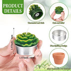 Shihanee 24 Pack Succulent Candles with Terracotta Pot Novelty Handmade Stylish Plant Candles Gifts for Baby Shower Birthday Wedding Party Favors Home Decor Valentine Gift - Image 2