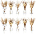 Nuanchu 10 Pcs Dried Pampas Grass Centerpiece with 10 Glass Vase, Rope by Nuanchu