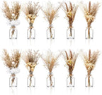 Nuanchu 10 Pcs Dried Pampas Grass Centerpiece with 10 Glass Vase, Rope by Nuanchu