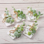 Demissle 60 Sets Mini Eucalyptus Soaps Baby Shower Favors for Guests Bulk - Image 4