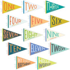 Lucy Darling Petit Milestone Pennants – Baby Monthly Milestone Pennant Flags – Newborn Photo Props & Felt Nursery Decor – Keepsake Banner Set for Baby Photos – Little Kaleidoscope by LucyDarling