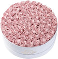 Prifroti 75 Preserved Roses in Suede Box – Luxury Rose Flower Arrangement, Preserved Flowers Gifts for Women, Wife or Mom – Birthday, Anniversary, Valentine’s Day, Mother's Day (Dusty Rose) by Prifroti
