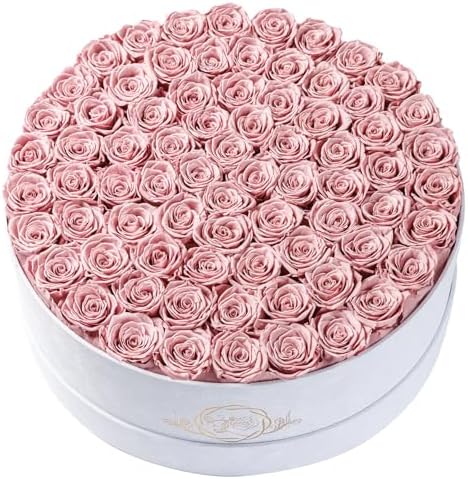 Prifroti 75 Preserved Roses in Suede Box – Luxury Rose Flower Arrangement, Preserved Flowers Gifts for Women, Wife or Mom – Birthday, Anniversary, Valentine’s Day, Mother's Day (Dusty Rose) by Prifroti