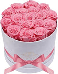 Prifroti 17 Flowers in a Luxury Suede Box, Birthday Gifts for Women, Preserved Flowers, Mothers Day Roses Gift for Mom, Light Pink by Prifroti