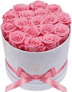 Prifroti 17 Flowers in a Luxury Suede Box, Birthday Gifts for Women, Preserved Flowers, Mothers Day Roses Gift for Mom, Light Pink by Prifroti