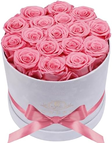 Prifroti 17 Flowers in a Luxury Suede Box, Birthday Gifts for Women, Preserved Flowers, Mothers Day Roses Gift for Mom, Light Pink by Prifroti