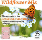 BENTLEY SEED CO. Oh Baby Flower Seeds Packets - Girl/Boy Baby Shower Favors - Pre-Filled, 25 Wildflower Seed Packs for Favor - Eco-Friendly Gift & Babys Guest Giveaways - Non-GMO Seeds - Pink - Image 3