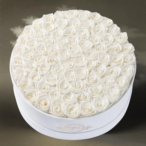 Prifroti 75 Preserved Roses in Suede Box – Luxury Rose Flower Arrangement, Preserved Flowers Gifts for Women, Wife or Mom – Birthday, Anniversary, Valentine’s Day, Mother's Day (White) - Image 6
