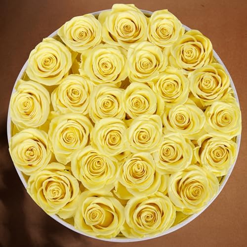 Prifroti 27 Roses in a Luxury Suede Box, Mother Day Flowers Gifts for Mom, Preserved Flowers for Her, Birthday Gifts for Women, Yellow - Image 5
