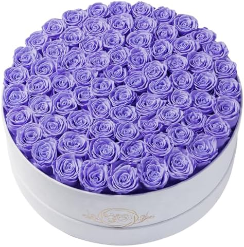 Prifroti 75 Preserved Roses in Suede Box – Luxury Rose Flower Arrangement, Preserved Flowers Gifts for Women, Wife or Mom – Birthday, Anniversary, Valentine’s Day, Mother's Day (Lavender) by Prifroti