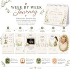 Pregnancy Calendar For First Time Moms | Week by Week Baby Countdown - Image 7