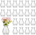 60 Pieces 3.5 Inch Glass Bud Vase Mini, Clear by Unknown