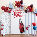 Tegeme 3 Pcs She's Ready to Pop Arch Backdrop Covers, Blue Gingham Soda by Tegeme