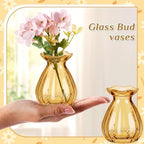 12 Pieces 3.5 Inch Glass Bud Vase Mini, Amber - Image 2