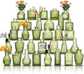 Glass Bud Vases Set of 32 - Green Assorted Small Mini Glass Vases for Flowers, Crystal Vintage Vase Set, Bulk Centerpieces for Table Décor, Wedding, Home and Events (Green, 32 Pcs) by Unknown