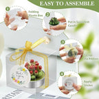 36 Pcs Succulent Candles Party Favors, Mini Cactus Tealight Candles Bulk - Image 4