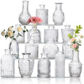 Glass Bud Vase Set of 16, Small Flower Vases, Glass Vases for Centerpieces, Vintage Home Table Decorations Bud Vases (16 Pcs, Clear) by BJONKZ